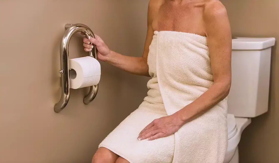 INVISIA toilet roll holder grab bar installed beside a toilet