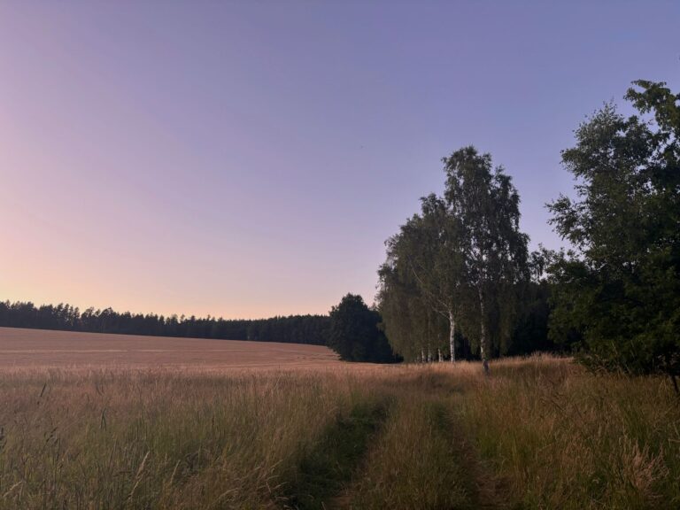 Fotografie von Anika Yago – Visuelle Momentaufnahme unterwegs